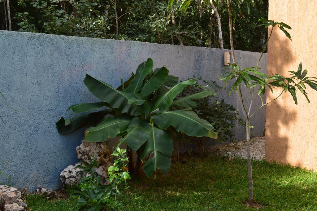 Myoli B&b. Playa Del Carmen, Mexico 2*