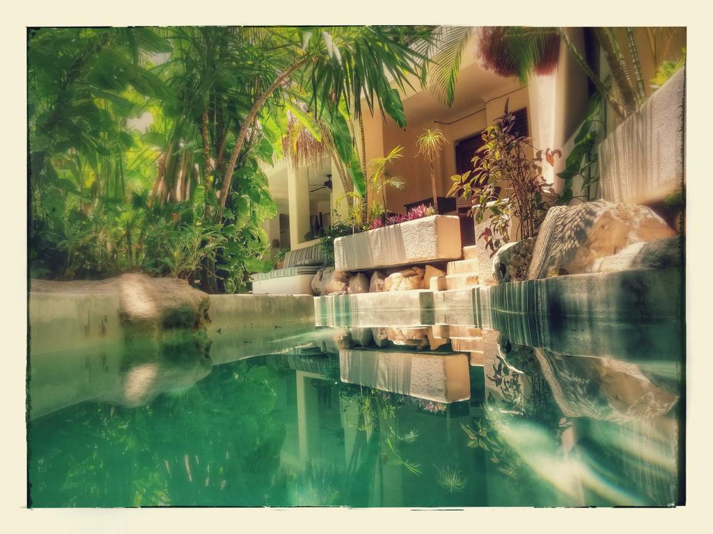 Hotel La Tortuga & - Adults Only Playa del Carmen