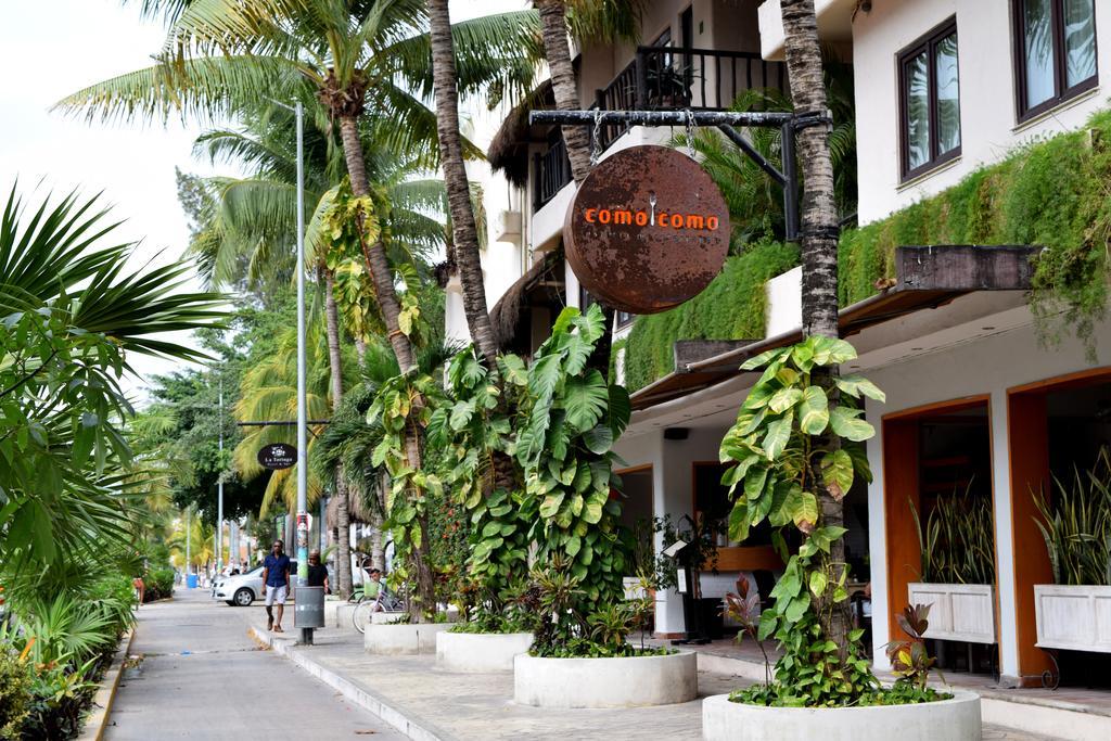 La Tortuga & - Adults Only Hotel
