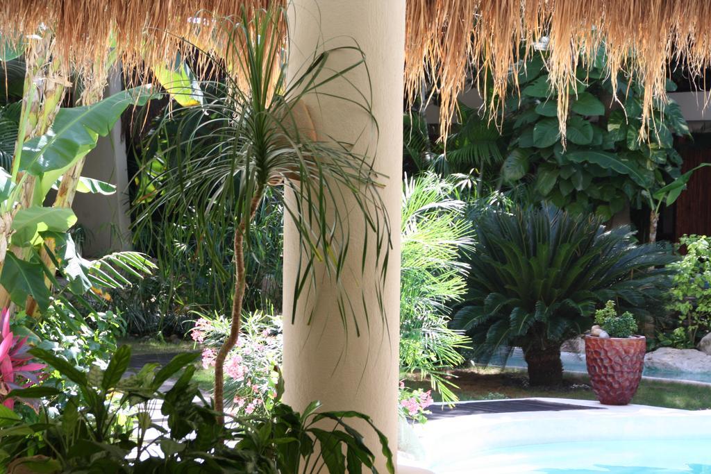 La Tortuga & - Adults Only Playa del Carmen