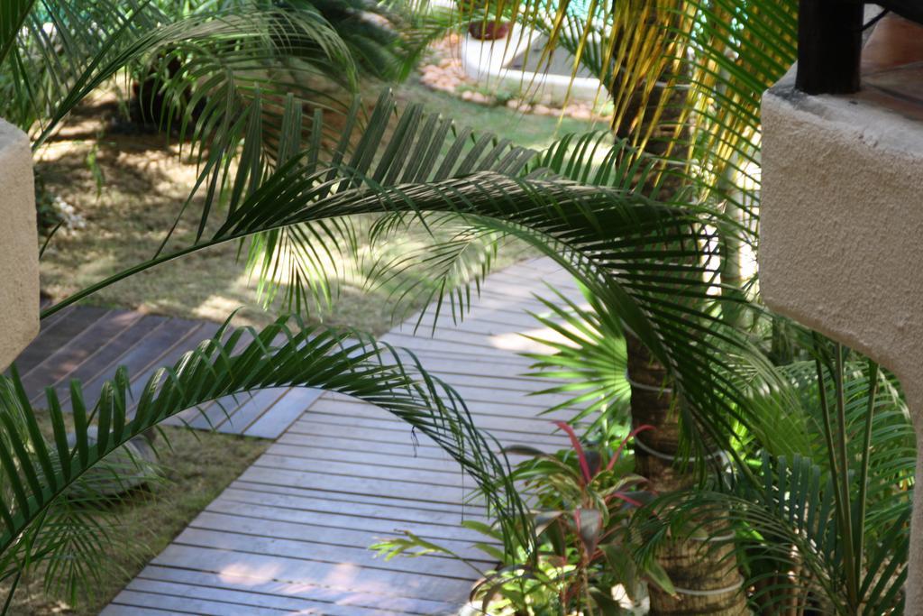 La Tortuga & - Adults Only Hotel