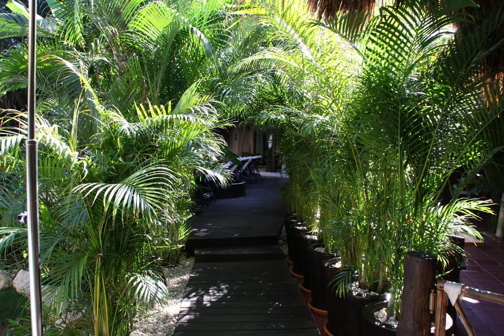Hotel La Tortuga & - Adults Only 4*