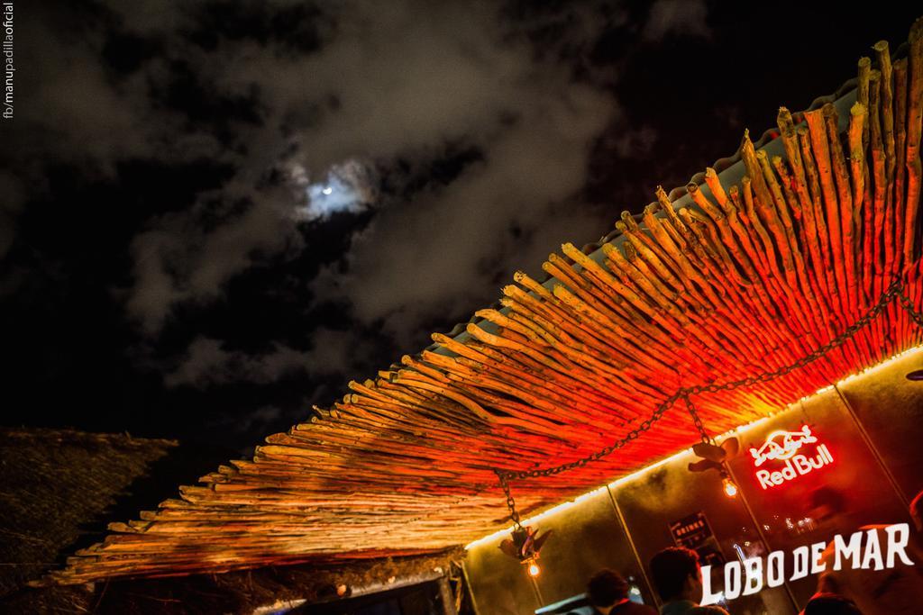 Lobo De Mar * Playa del Carmen