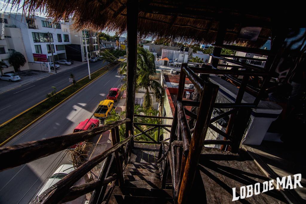 Lobo De Mar Hostel