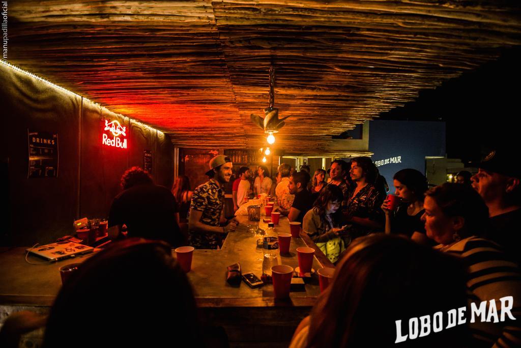Lobo De Mar