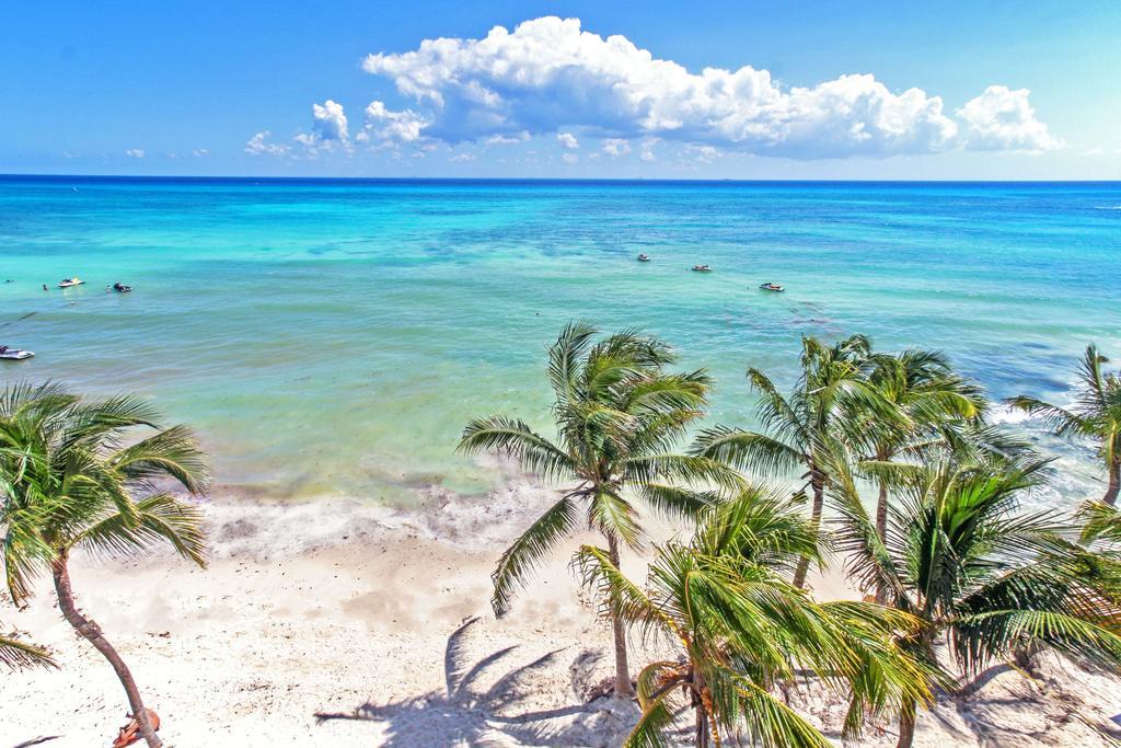 Beachfront Condo, 2 Bedroom - Ocean View At Corto Maltes Apartment *