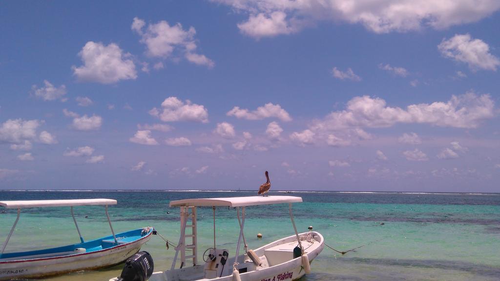 Playa Centro Gasthof *