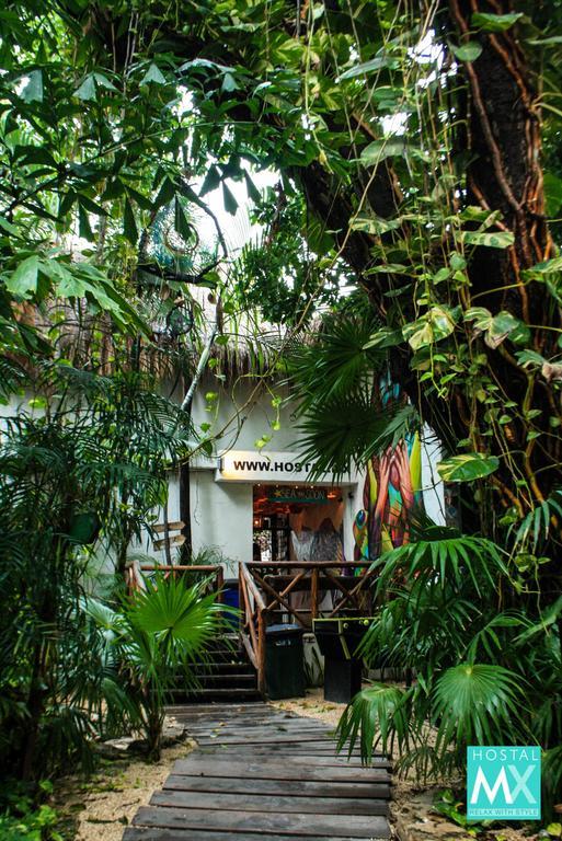 Albergue Hostal Mx 5Th Avenue