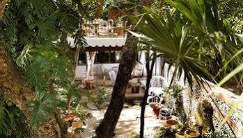 Khách sạn La Semilla A Member Of Design (adults Only) 4*