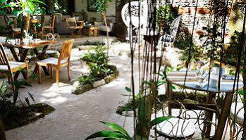 La Semilla A Member Of Design (adults Only) Khách sạn Playa del Carmen