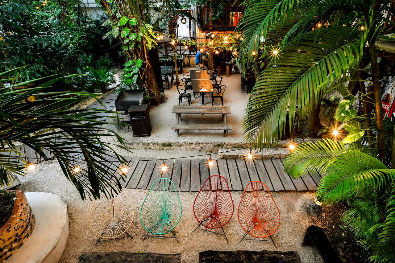Hostal Mx 5Th Avenue Albergue