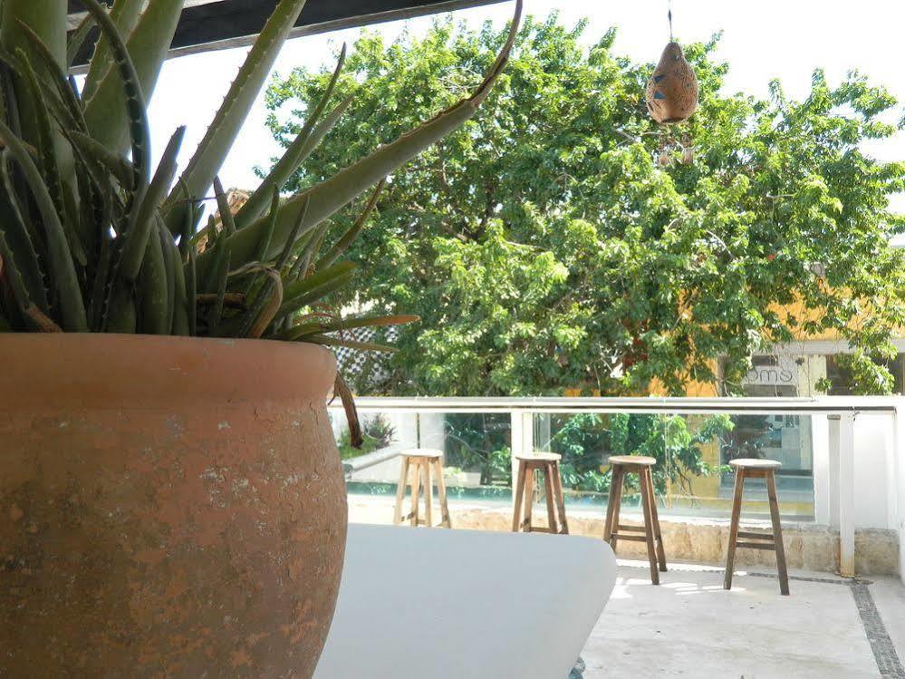 Sayab 5ta Avenida Hotel Playa del Carmen