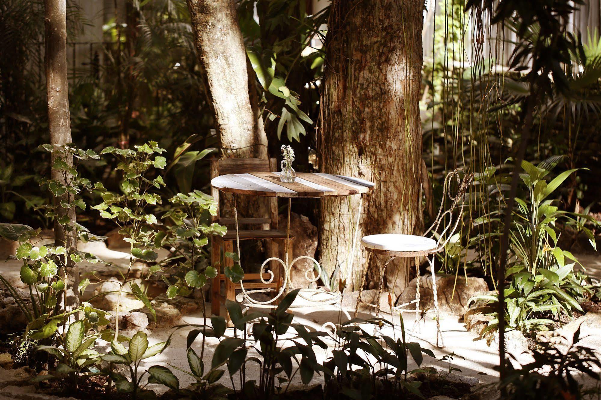Khách sạn La Semilla A Member Of Design (adults Only) Playa del Carmen