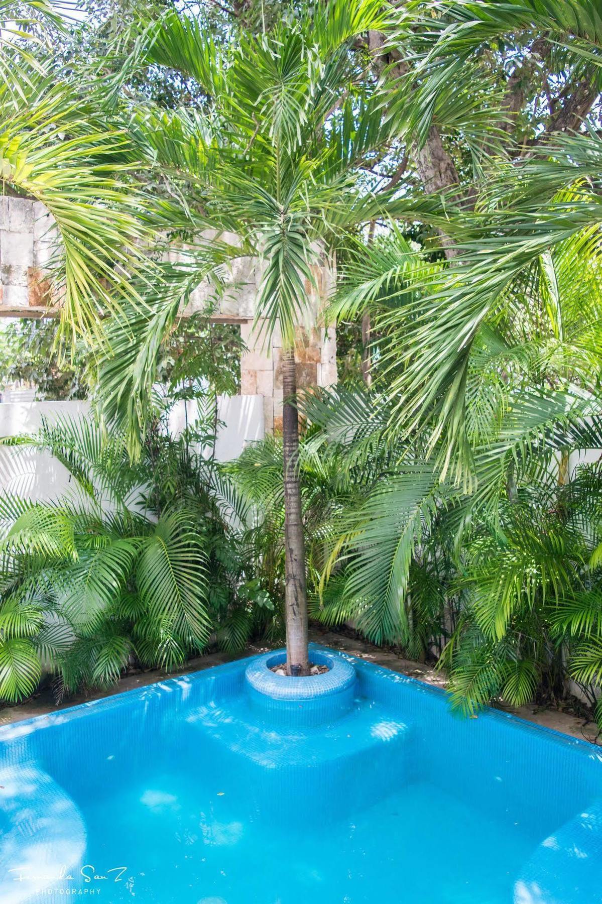 Nasim 3* Playa del Carmen