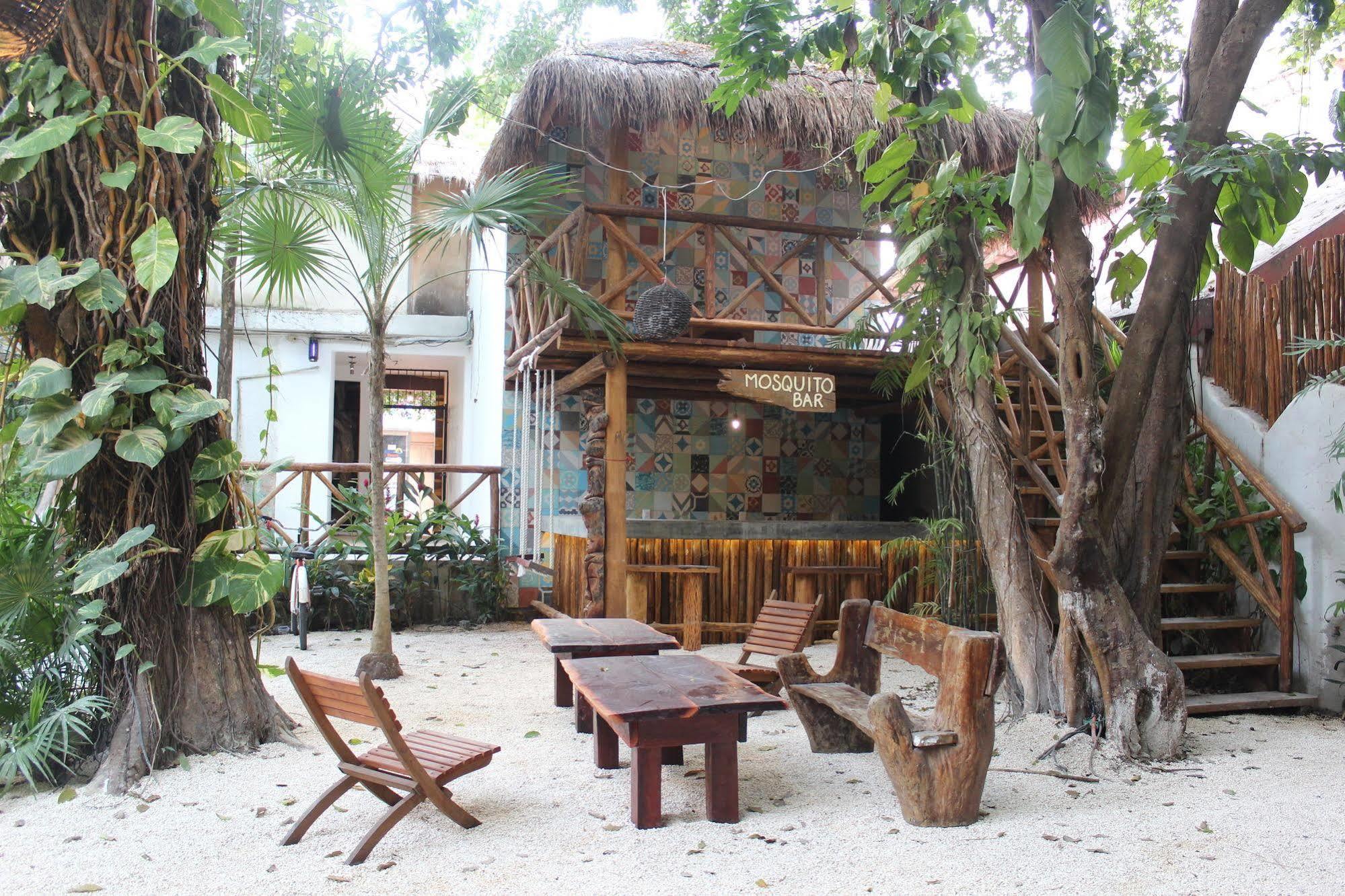 Hostal Mx 5Th Avenue Albergue Playa del Carmen