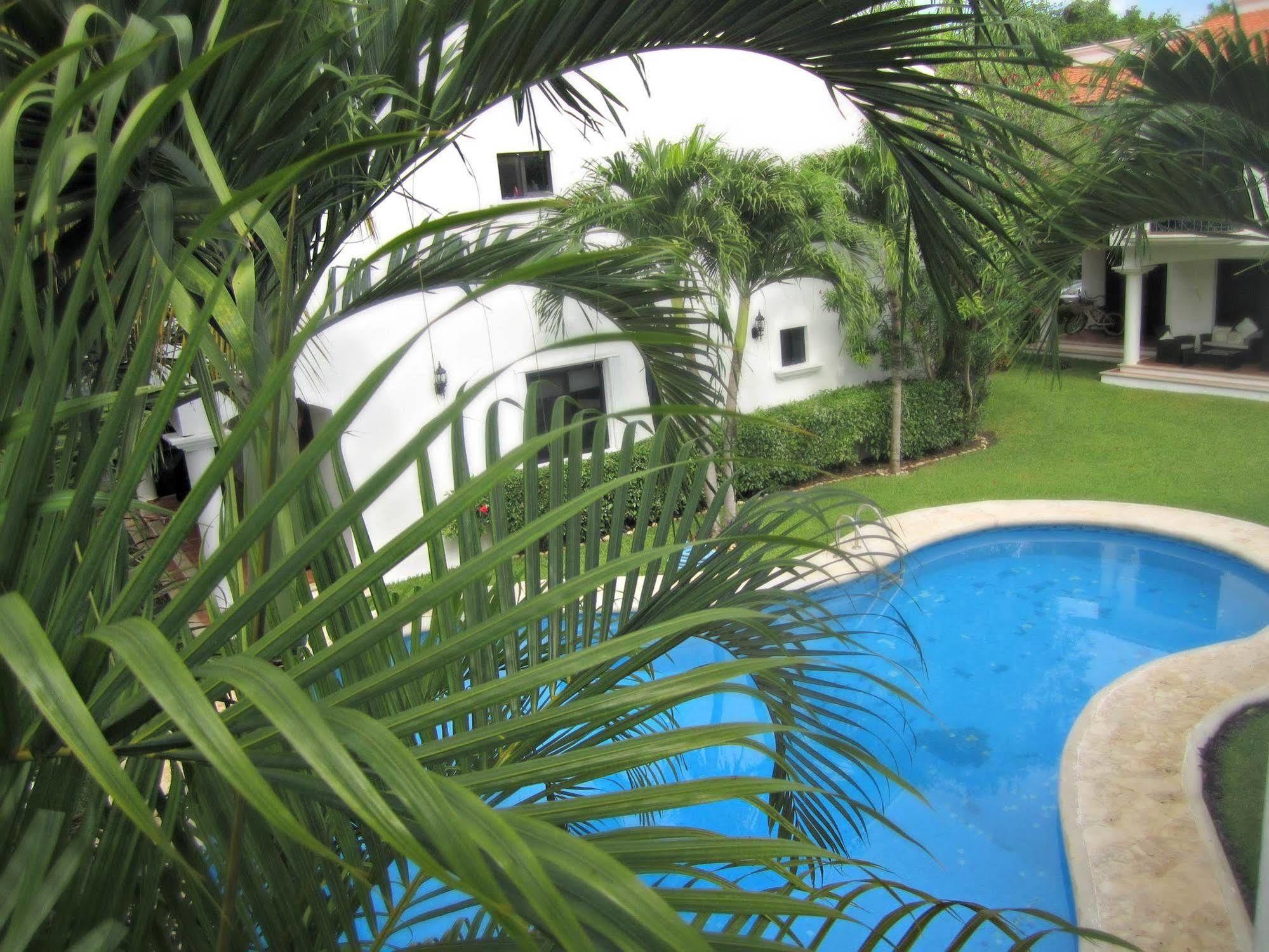 Hibiscus 3*