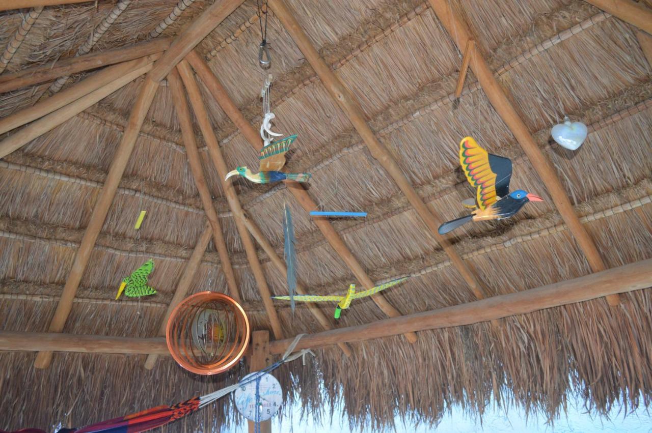 Myoli B&b. Playa Del Carmen, Mexico
