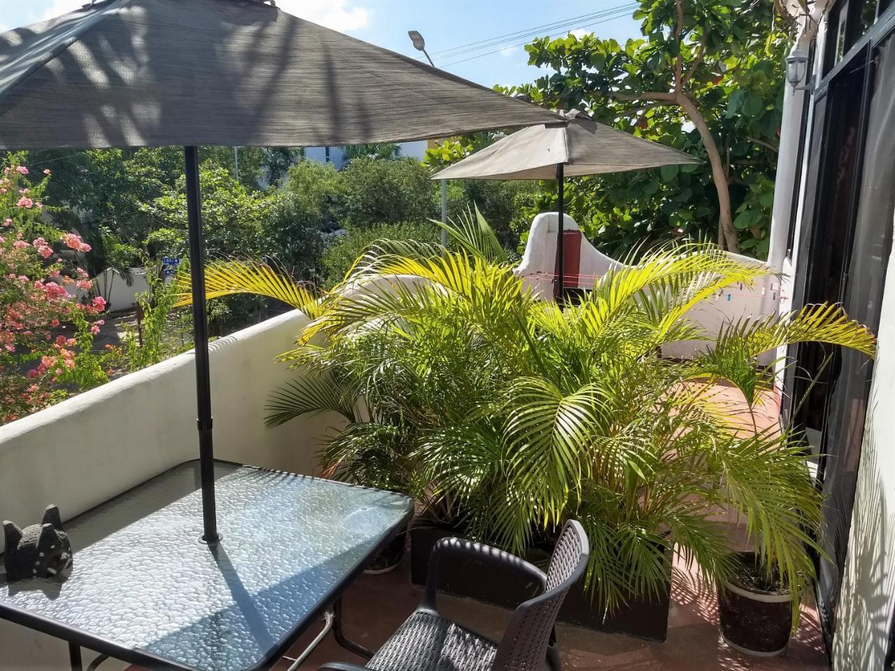 Acomodação com café da manhã  Tiburon *