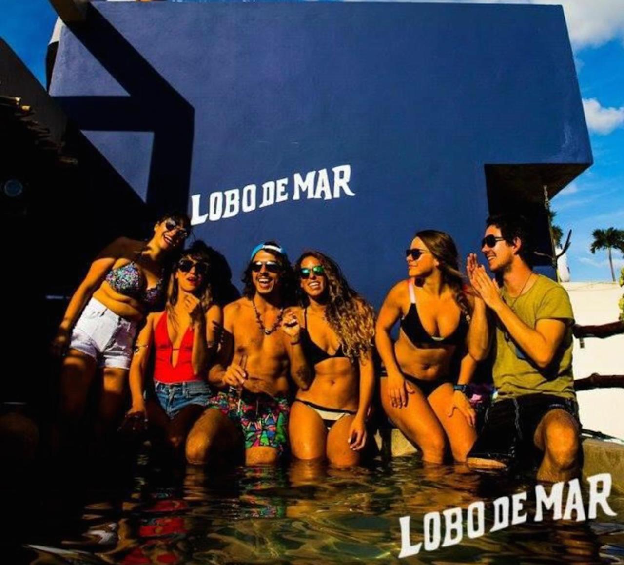 Lobo De Mar * Playa del Carmen