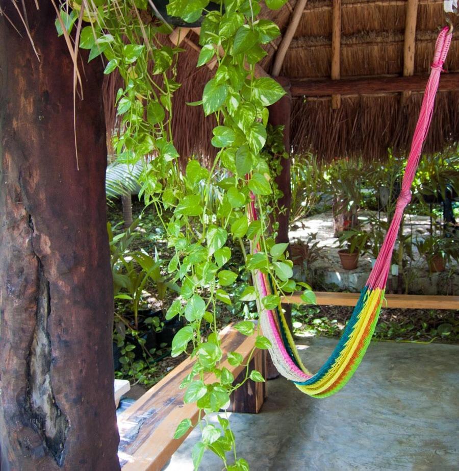 The Jungle Beach * Playa del Carmen