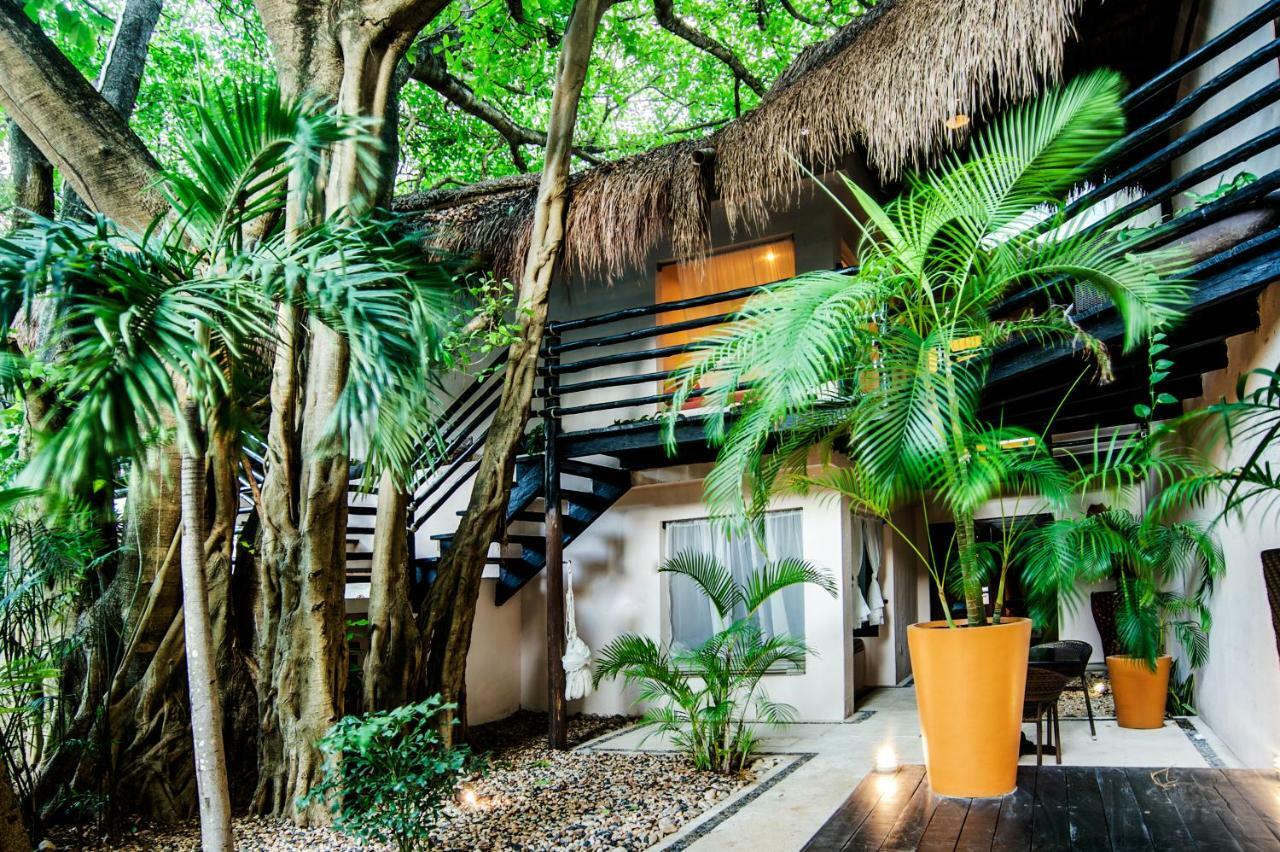 Hotel La Tortuga & - Adults Only Playa del Carmen