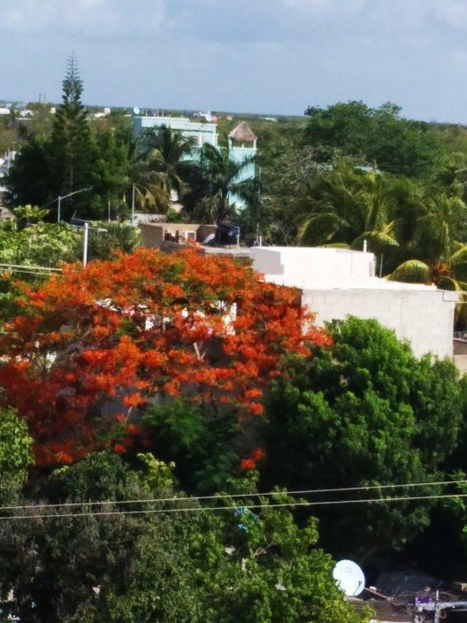 Apartahotel El Nomada Playa del Carmen
