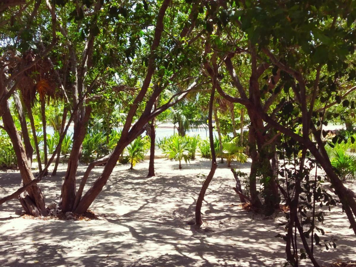 El Nomada Apartahotel Playa del Carmen