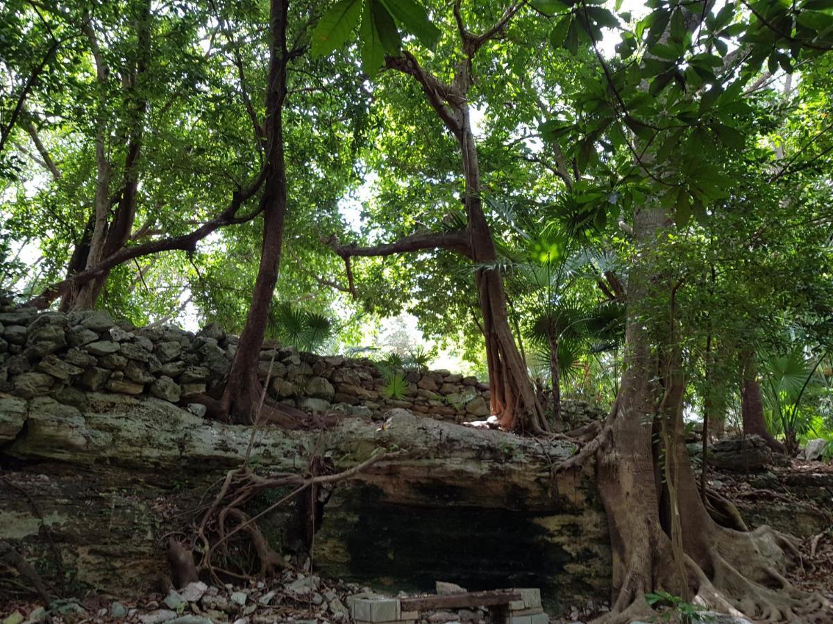 Căn hộ Amate 3 Playa del Carmen