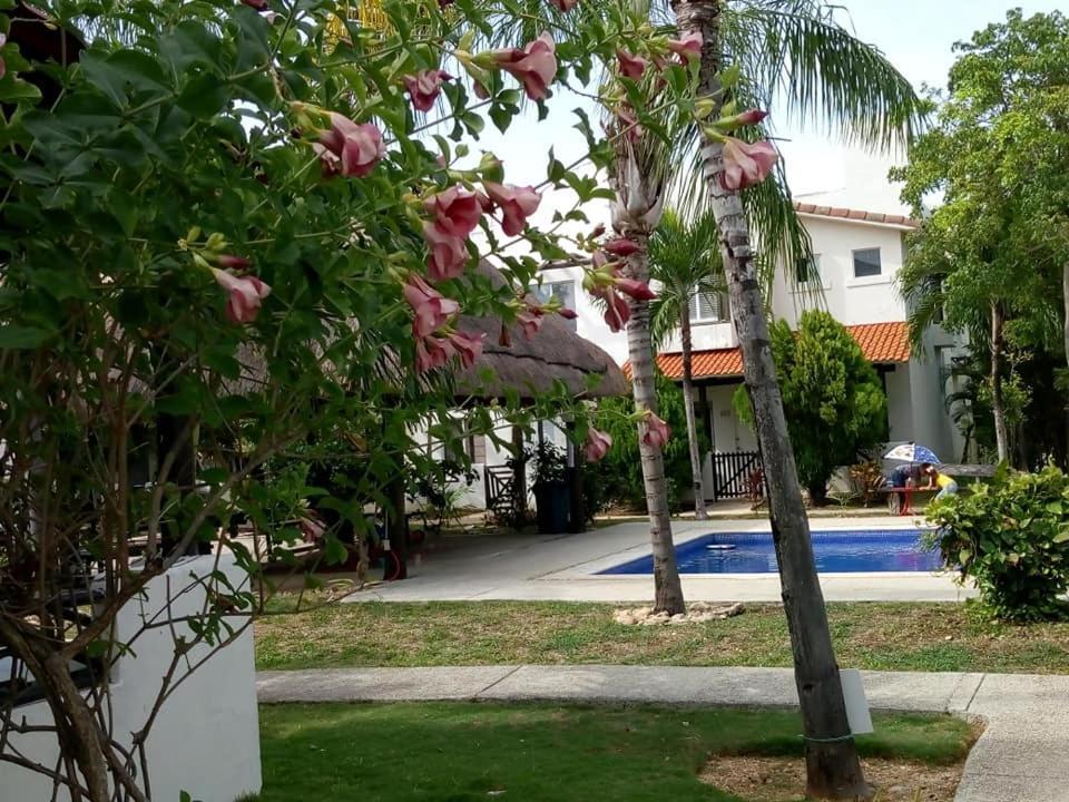 Casa Mikeles Casa de hóspedes Playa del Carmen