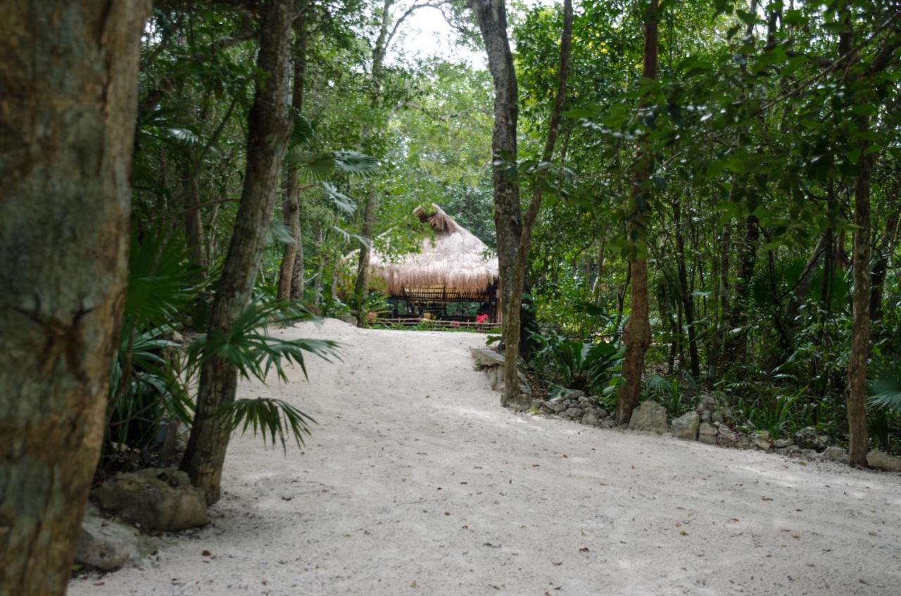 Luxury tent Rotamundos Mama Loomm 3*