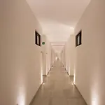 Menesse The City By Playa Moments