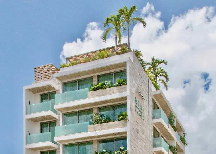 Newport House Playa Boutique Hotel