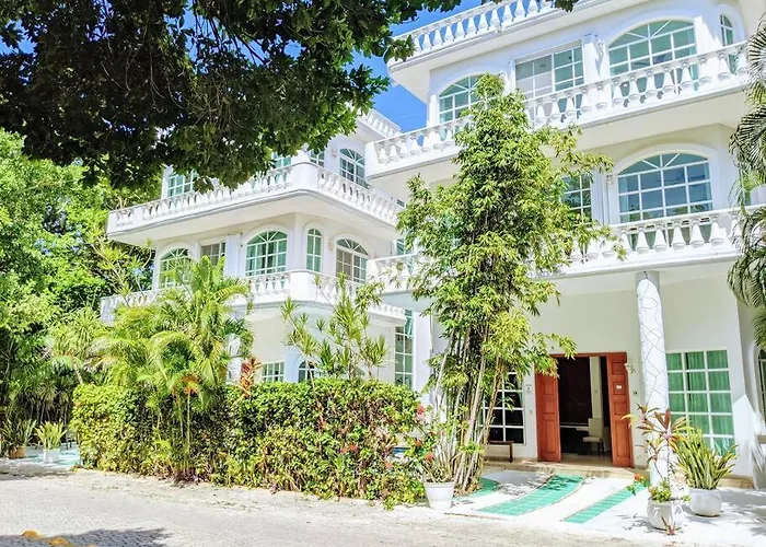 9Br 6Ba Large Groups! Best Location In Town Walk To Beach, 5Th Ave Cozumel Ferry, Shopping, Nightlife! Roof Plunge Pool!! Castillo Playacar Fase 1 25Max