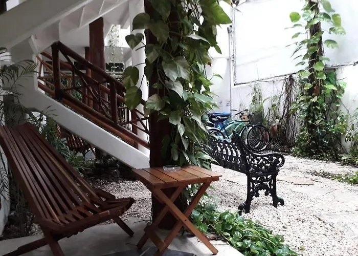Estudios Selva Y Mar