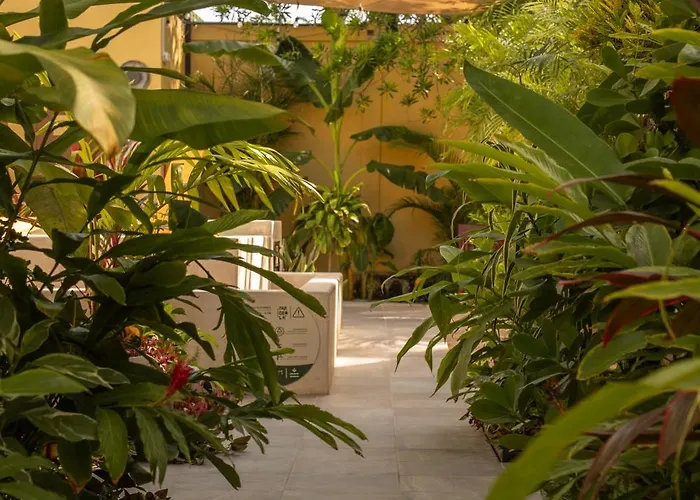 Parcela7 Cafe-Hotel