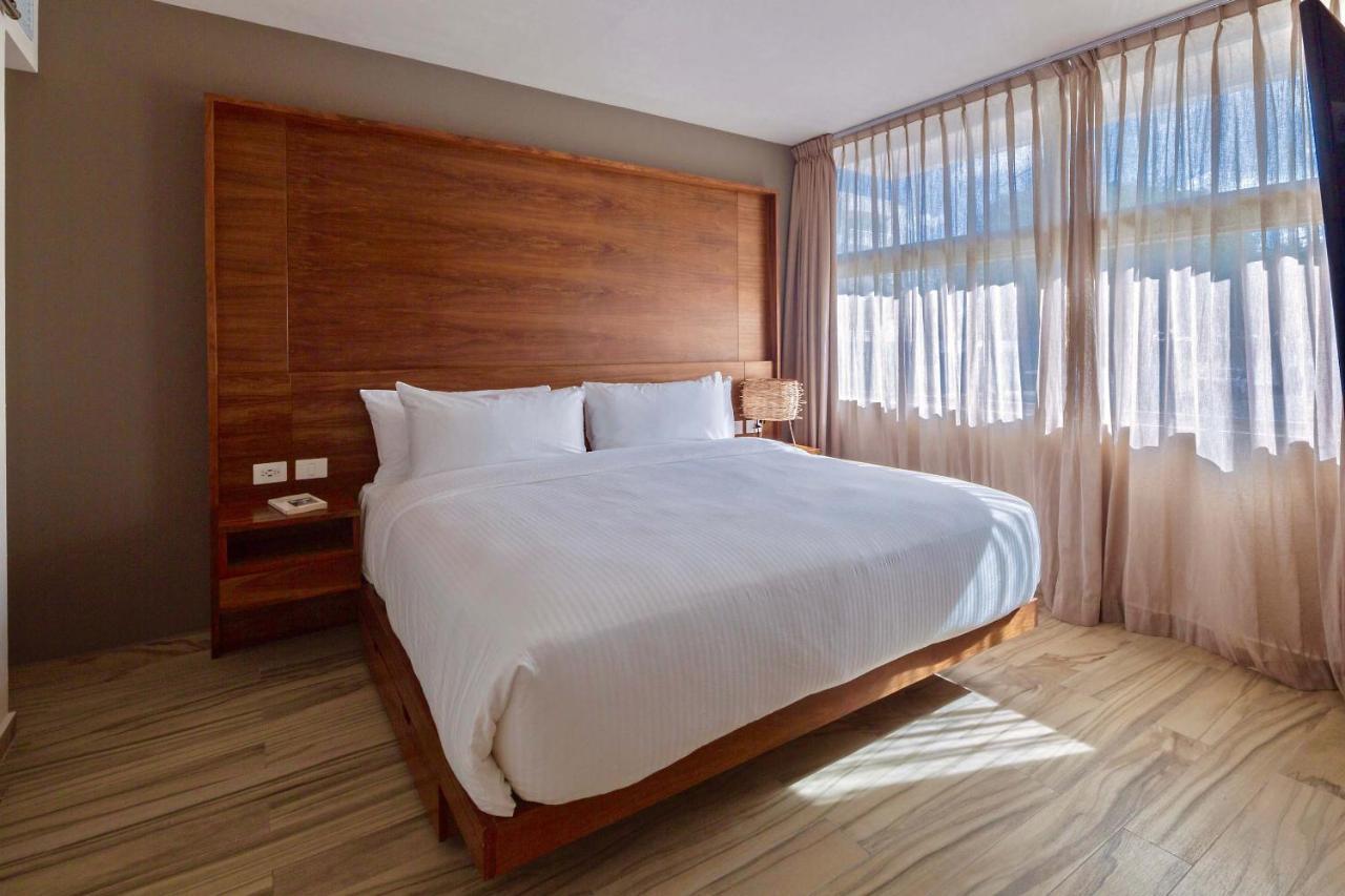 Hotel Newport House Playa Boutique