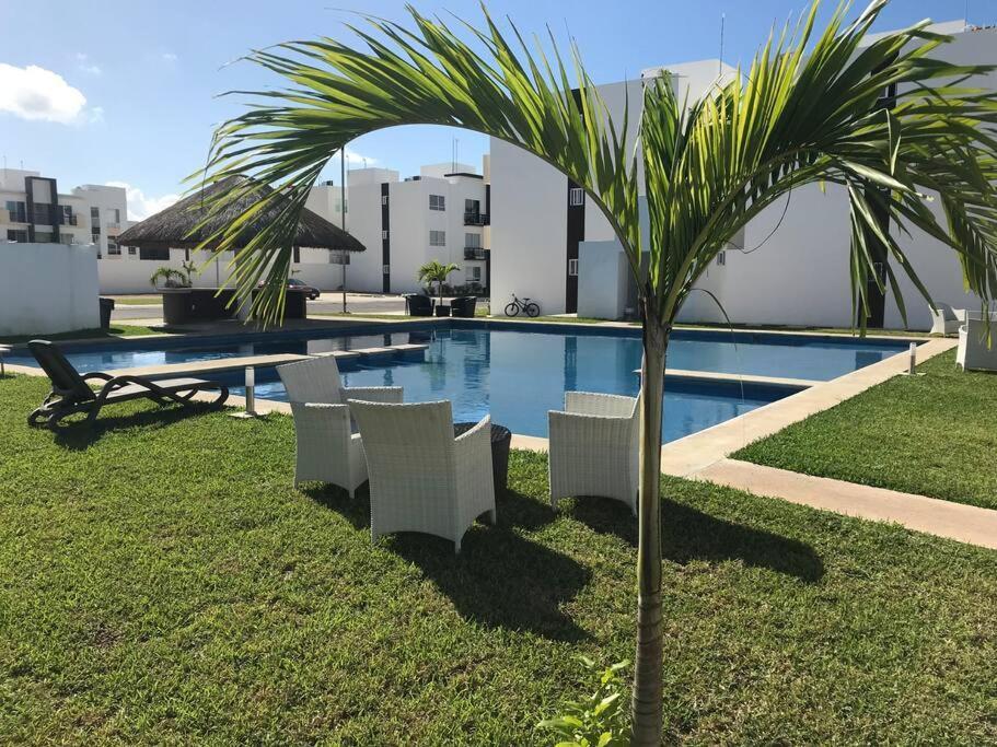 Apartment Depa De Playa C/alberca Cerca De La 5a Avenida