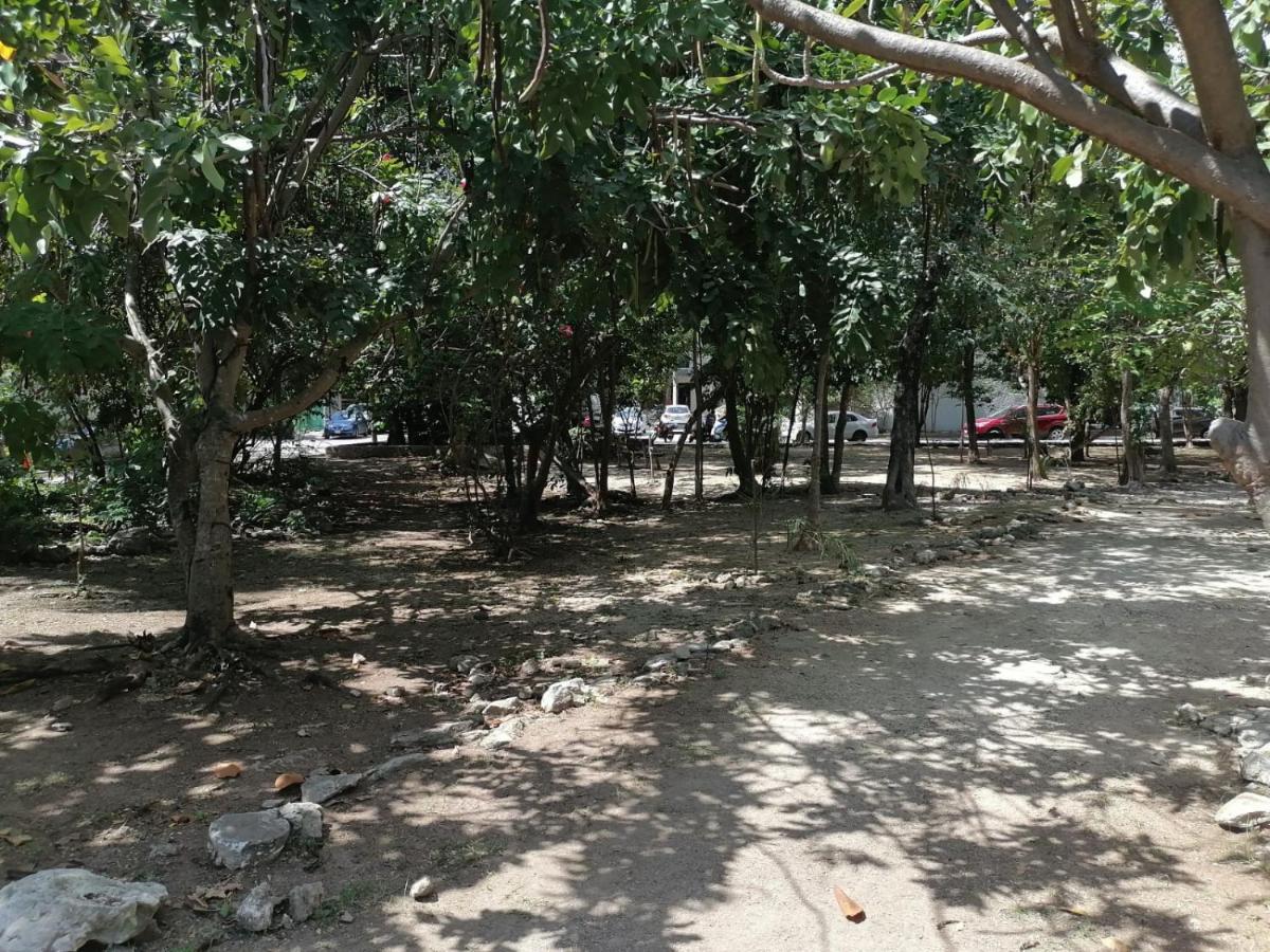 24 Căn hộ