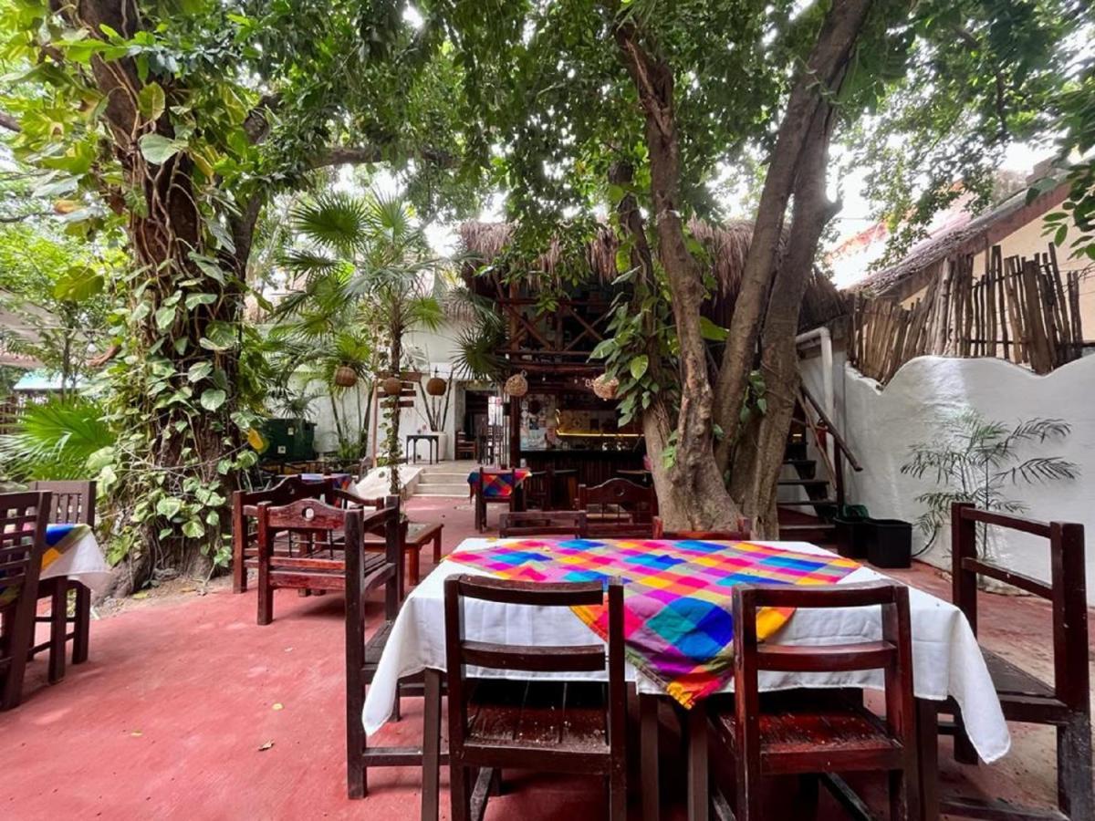 Hostal Mx 5Th Avenue Hostel