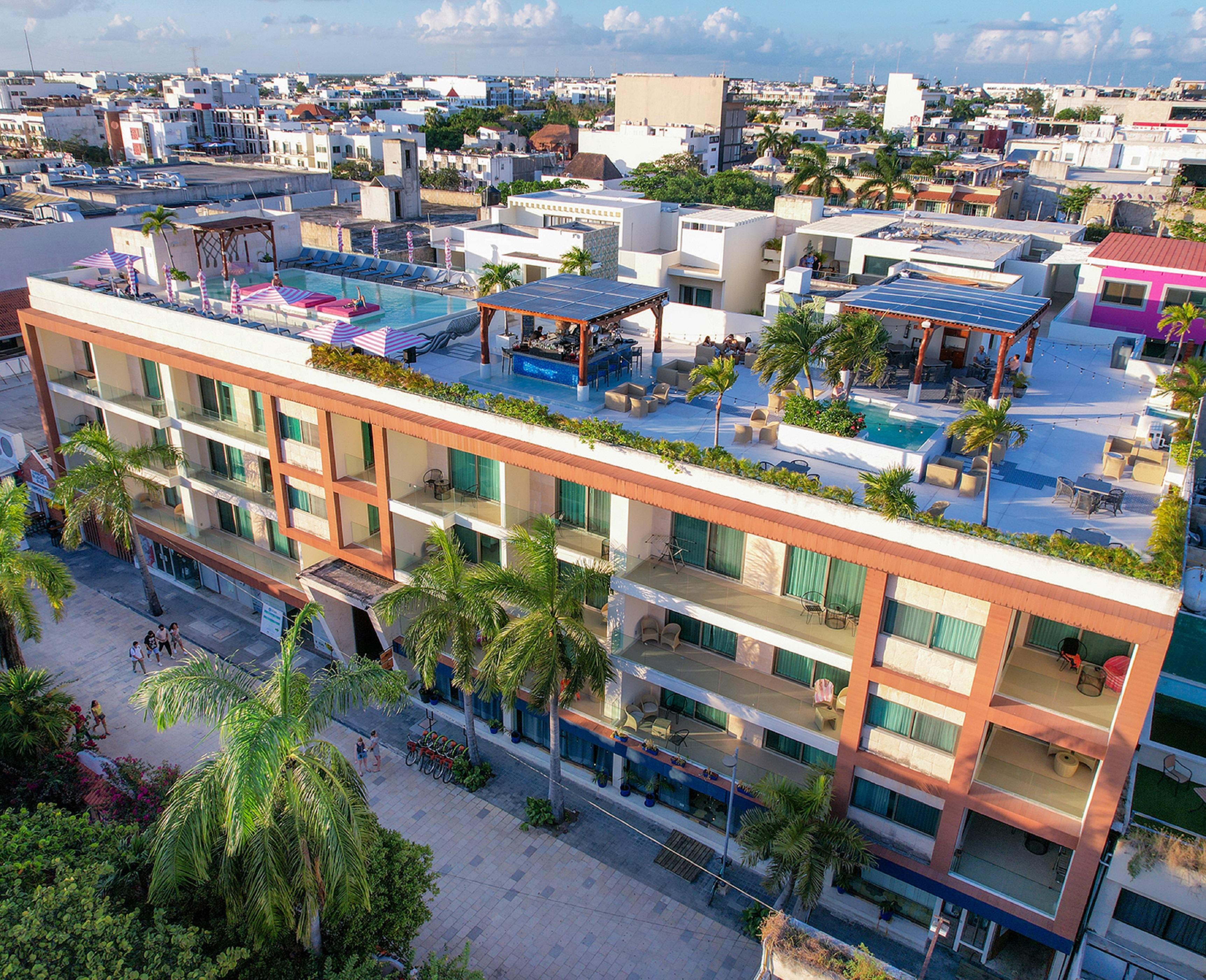 The Palm (adults Only) Khách sạn