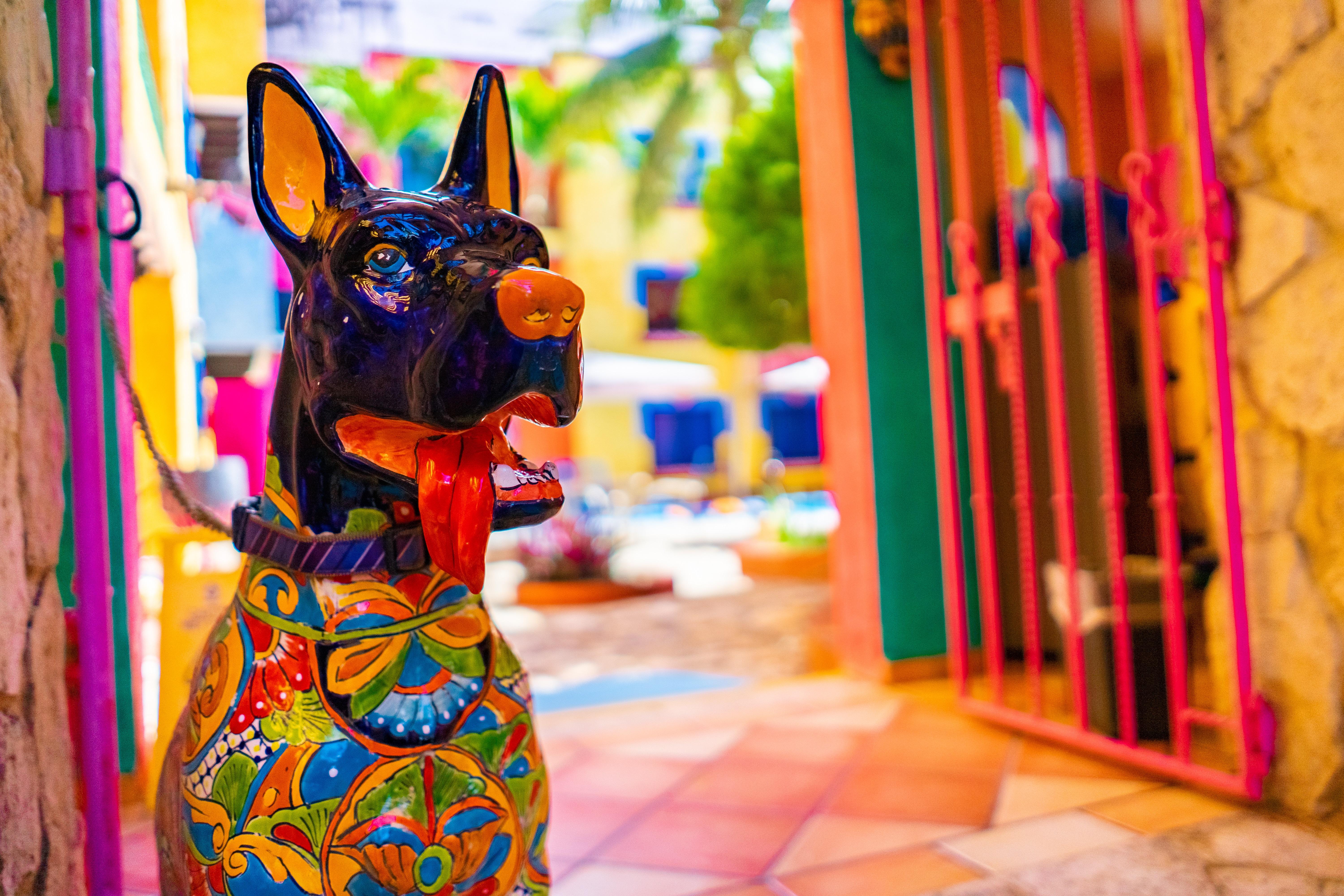 Hacienda Maria Bonita