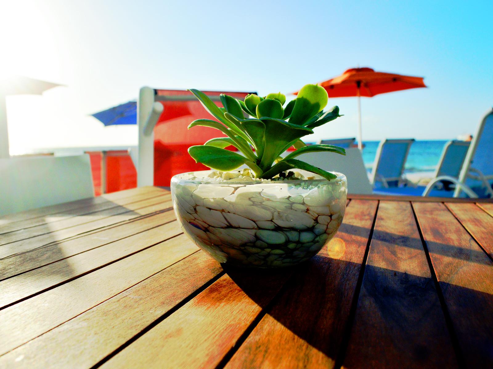 We Uniq Hotel El Carmen Adults Only Hotel