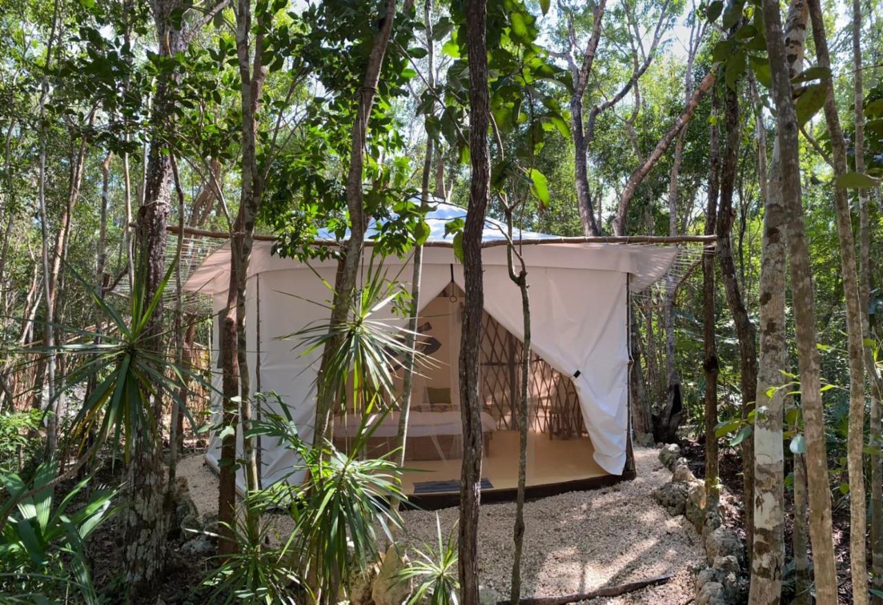 Kuha Glamping