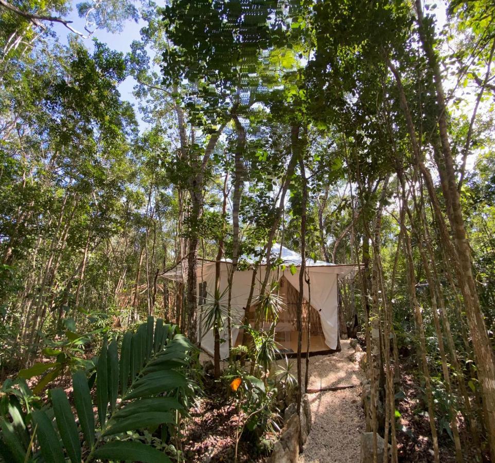 Kuha Glamping *