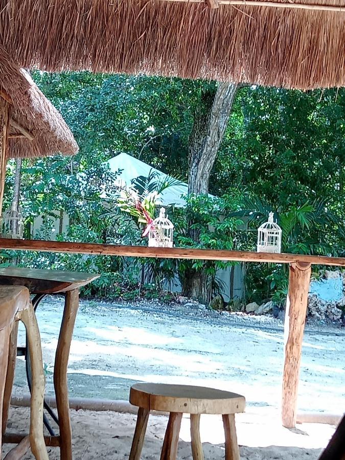Campsite Kuha Glamping