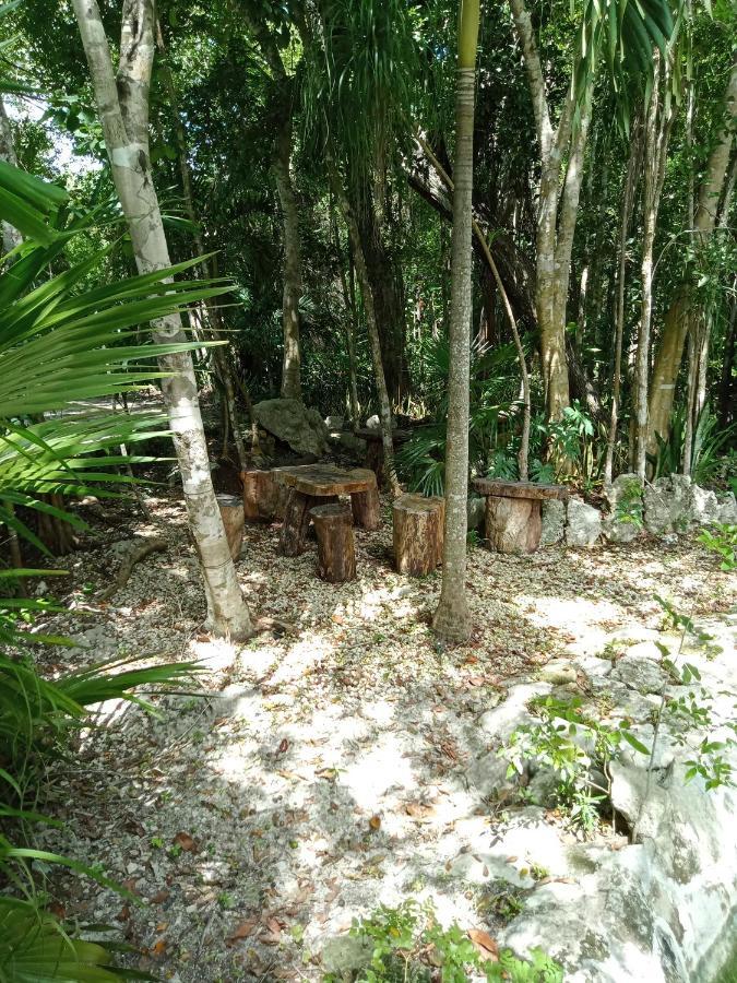 Campsite Kuha Glamping