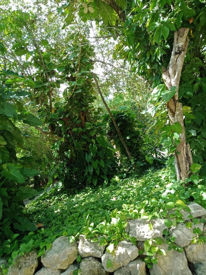 Kuha Glamping * Playa del Carmen