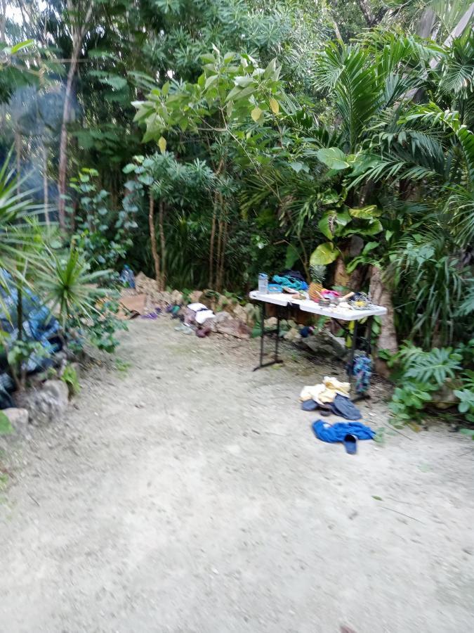 Campsite Kuha Glamping *