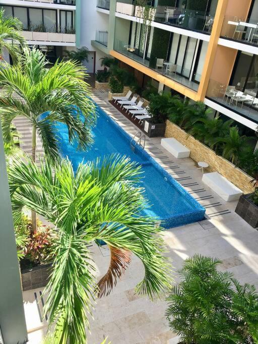 Apartment Your Exclusive In The - Amenities & Services For Free!!