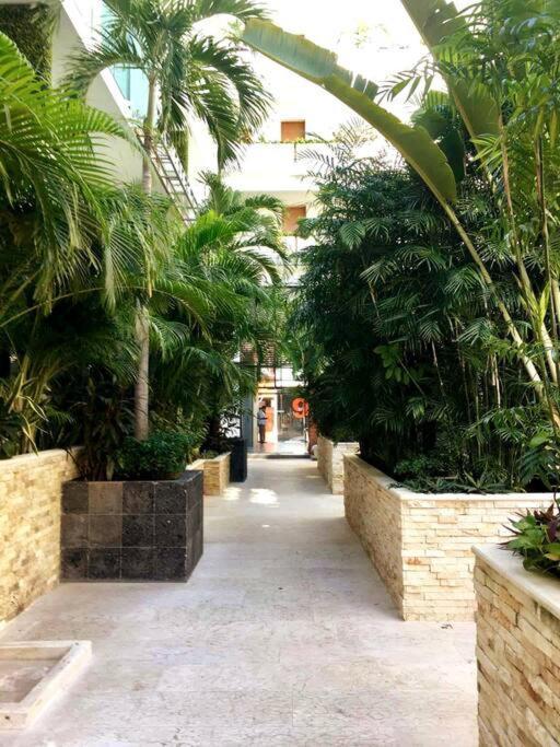 Your Exclusive In The - Amenities & Services For Free!! Apartment Playa del Carmen